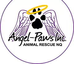 logo1