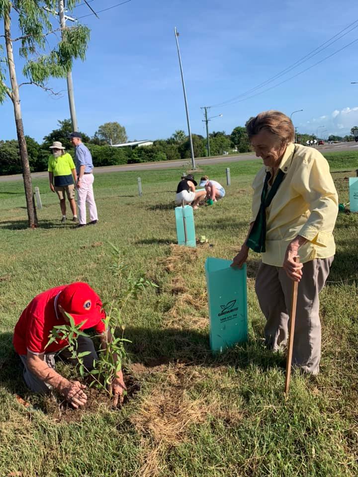 tree planting