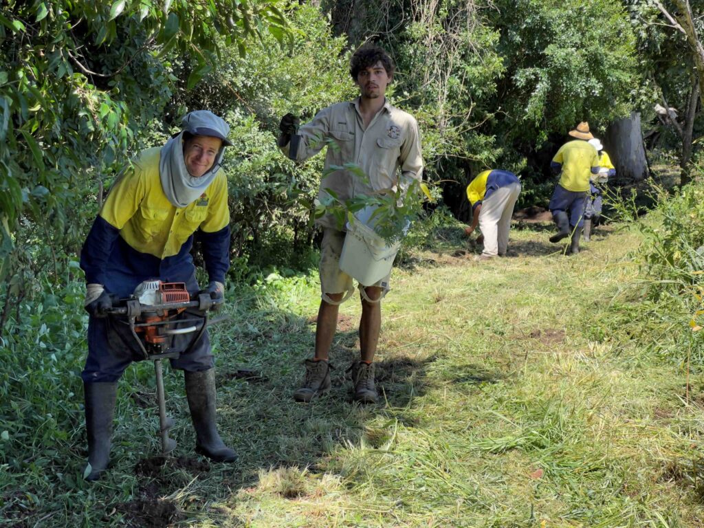 Ecological Restoration6 1024x768